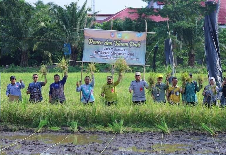 Distanhorbun Panen Padi Lokal Tala dengan Produktivitas Capai 6,5 Ton Per Hektar